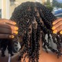 Twists/Braids