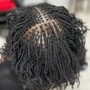 Root Touch Up