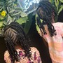 Boho Knotless Braids (medium)