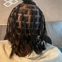 Small Starter Locs