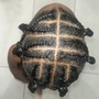 Kinky Twist