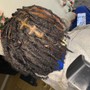 Loc Retwist