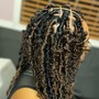 Starter Locs