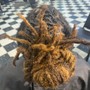 Dreadlocks