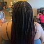 Medium Box Braids