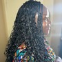 Crochet Braids/Locs