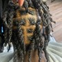 Starter Locs