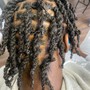 Starter Locs