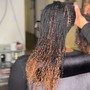 MICRO BRAID/TWIST SISTER LOC INSTALL