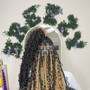 Blow Dry & Braid Down (for Sew-In)