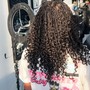 Crochet Braids / Twist ( Pre-looped hair only)