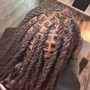 Mini Twists