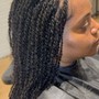 Mini Twists (hair provided) read description