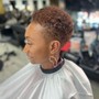 Big Chop / Transitioning Cut