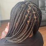 Senegalese/Island Twist