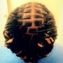 2 Strand Twist