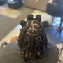 Loc (Bantu) Knots Style