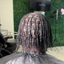 Two Strand Twists