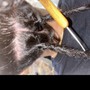 Dreadlocks- Crochet Instant Locs