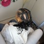 Individual Braids