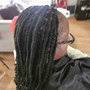 Feed In braids