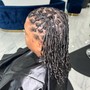 Starter locs