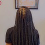 Tribal/ Fulani Braids