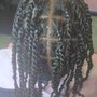 Natural Twists ( Twist Out)