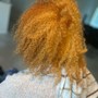 Root Touch Up