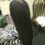 Loc Updo, with Retwist or interlock added.