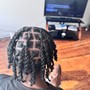 Loc Retwist