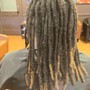 Root Touch Up