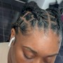 Individual Braids (Tapered)