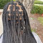 Root Touch Up (box braids front and back edges$