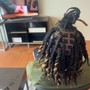 Small Starter Locs