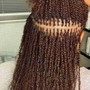 Crochet Braids