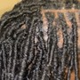 Loc retwist