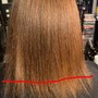 Root Touch Up