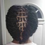 Mens 2 strand twists