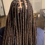 Goddess Half Up Half Down Braids + Weave