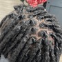 Starter Locs | Loc Coils