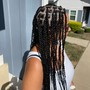 Rope/Havana Twists