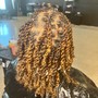 root touch  up