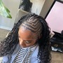 Bob French curls Braids