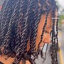 Two Strand Twist