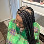 Micro braid Starter Locs