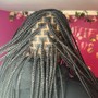 medium knotless braids