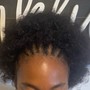 Root Touch Up