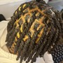 Men’s Grey Touch up /Locs/Beard