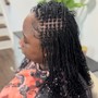 SMALL SENEGALESE TWIST